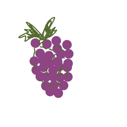 Grapes drawing by thatladywhocooks
