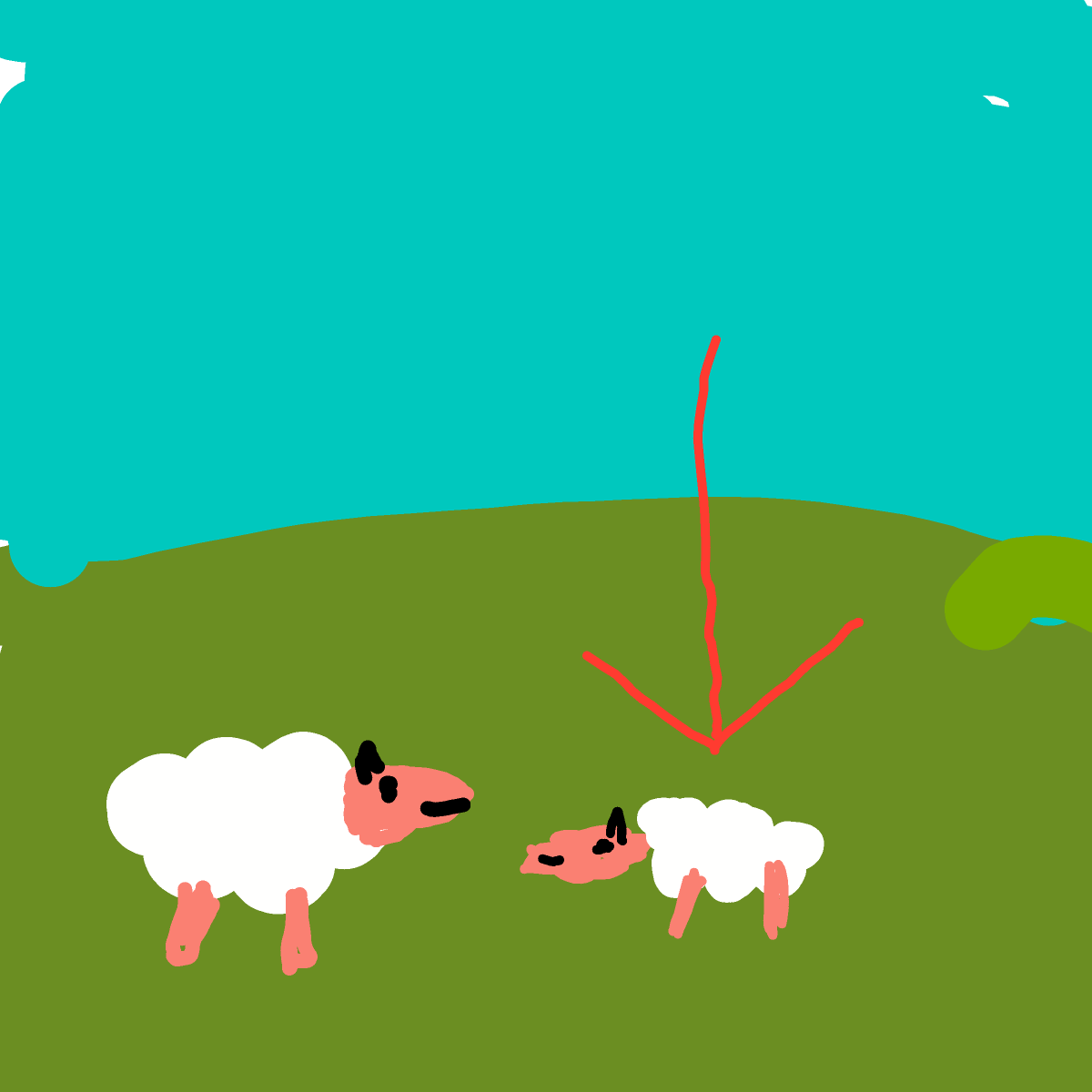 Lamb drawing by Nuss