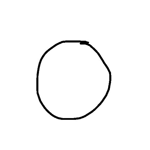 Circle drawing by maite