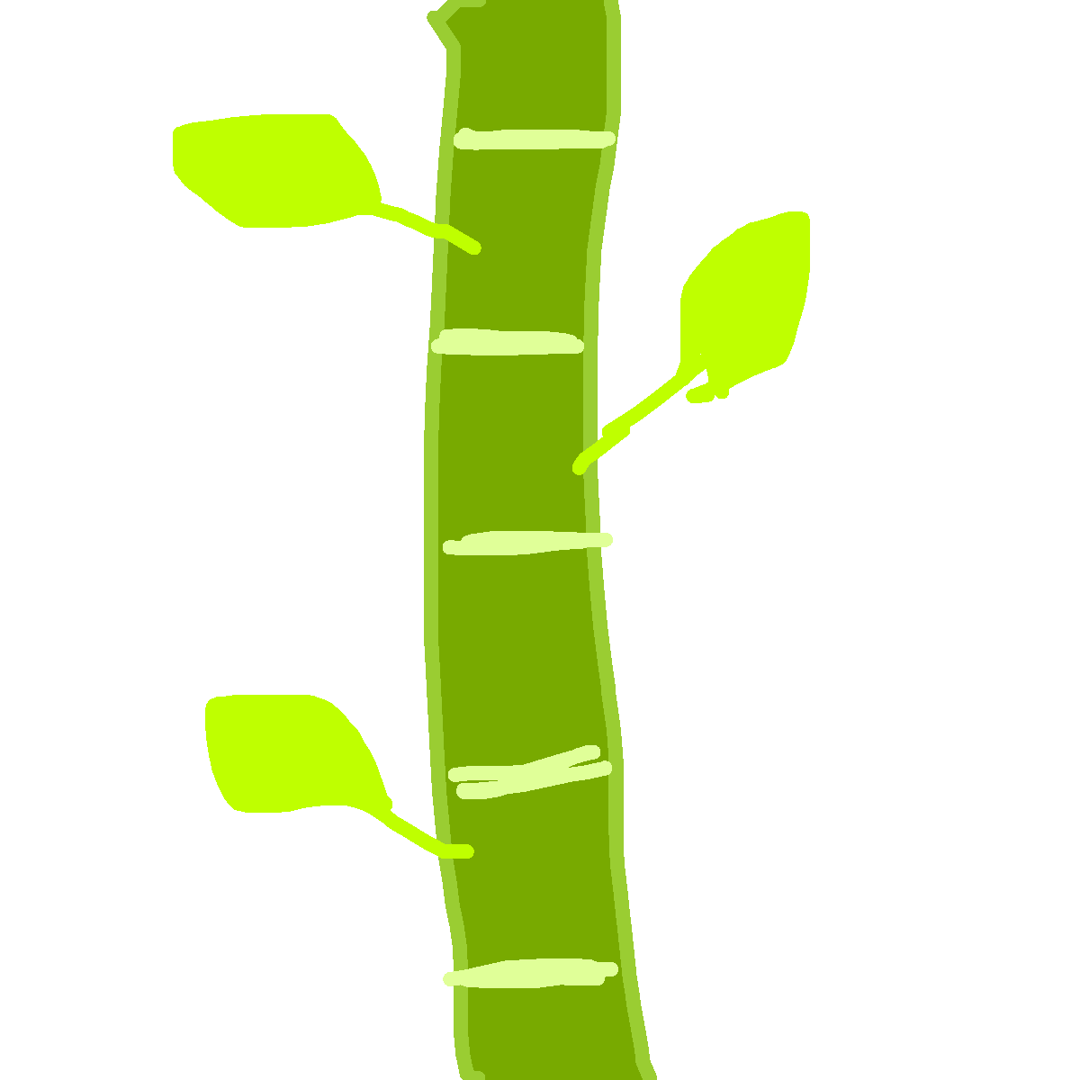 Bamboo drawing by bold-rich-world