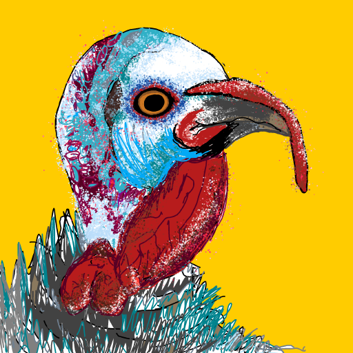 Turkey Head drawing by Bridgitte