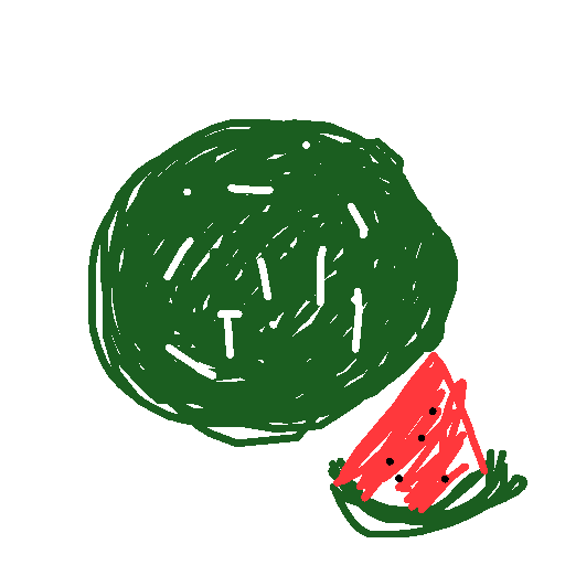 Watermelon drawing by maite