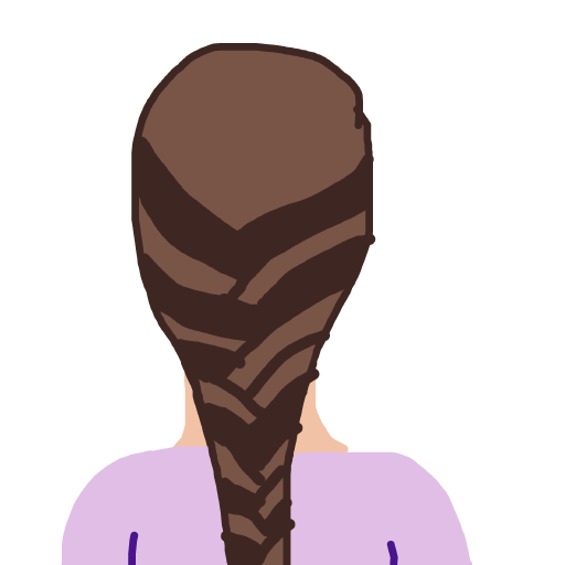 Braid drawing by ms lady