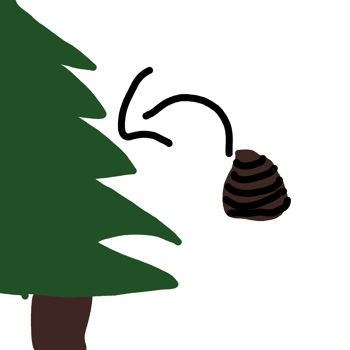 Pinecone drawing by sonic-amber-way