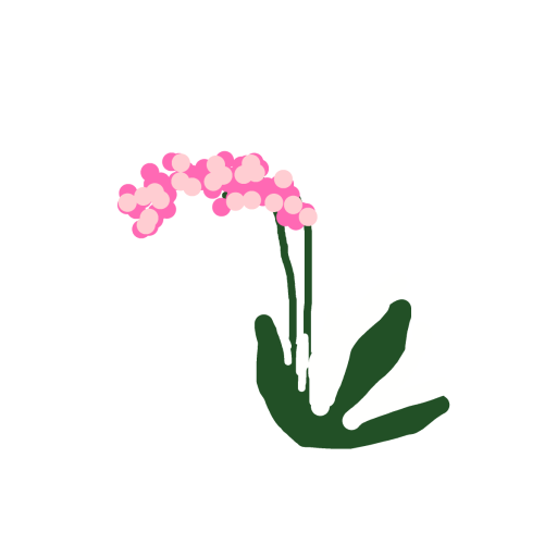 Orchid drawing by madsblazin
