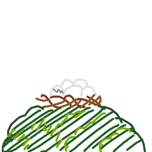 Nest drawing by nammy