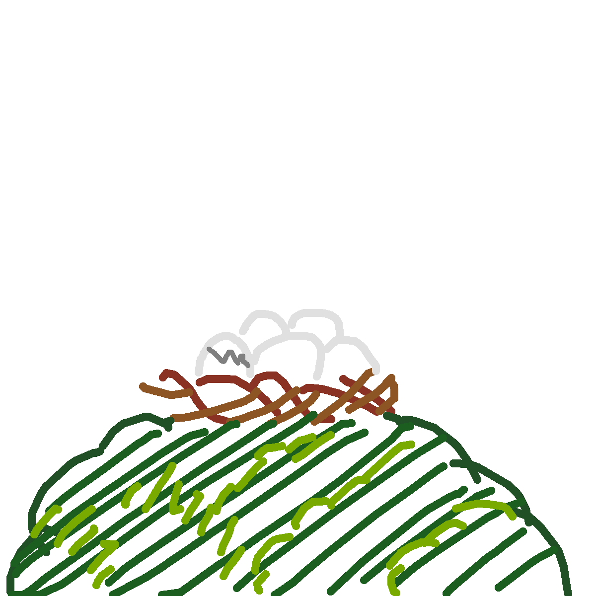 Nest drawing by nammy
