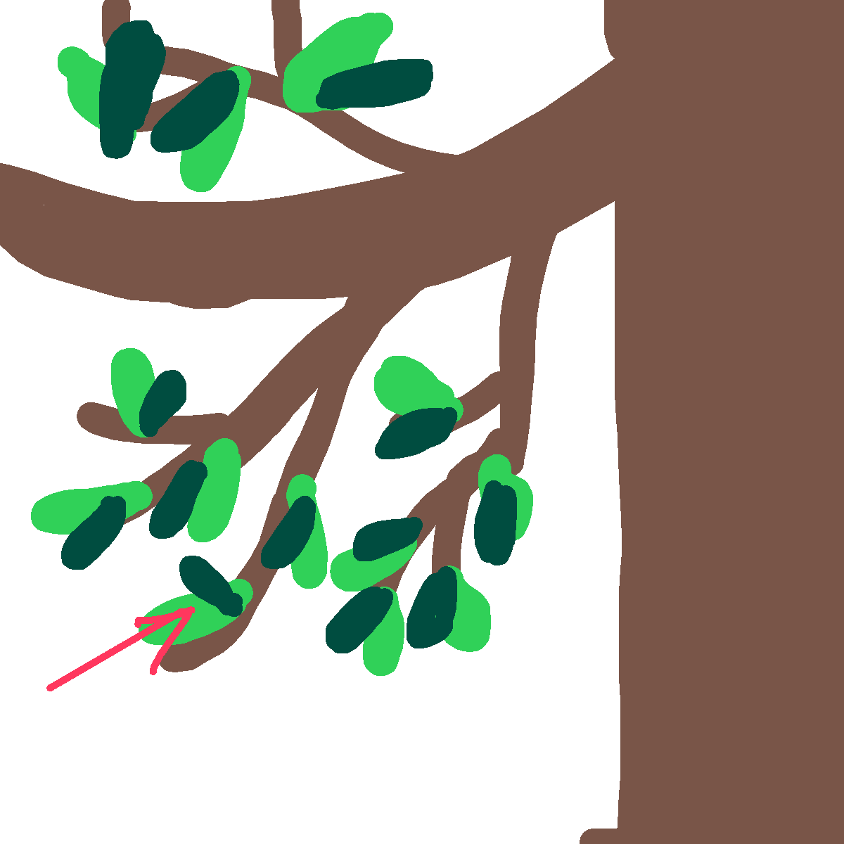 Leaf drawing by grand-bold-peak