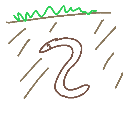 Worm drawing by amber-graph-hammer