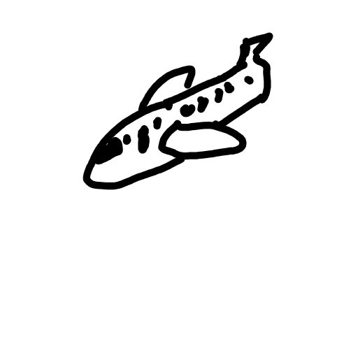 Airplane drawing by Shew