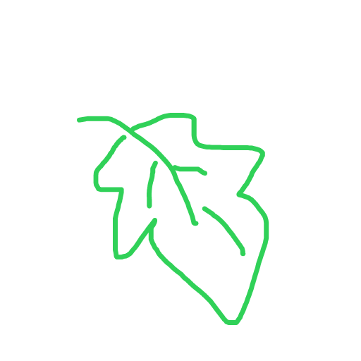 Leaf drawing by honey crisp
