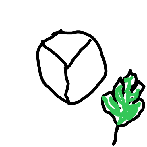 Peace drawing by common loon