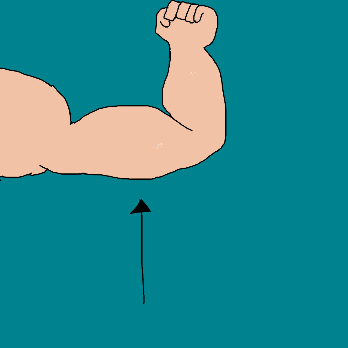 Muscle drawing by krissywissy
