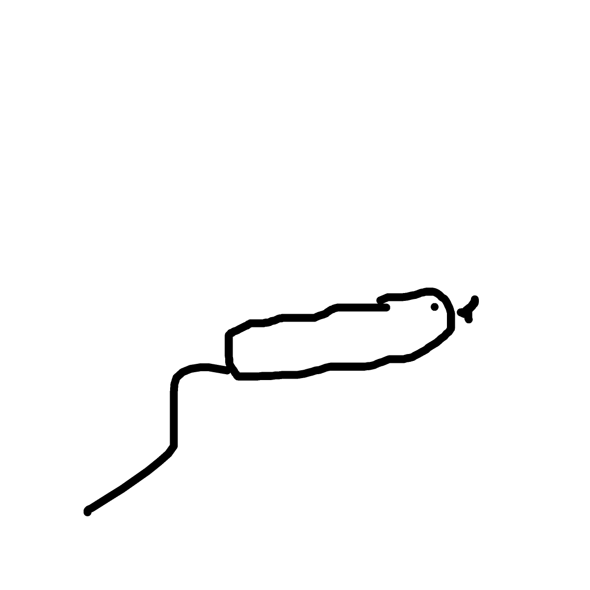 Mouse drawing by sage-fresh-skill