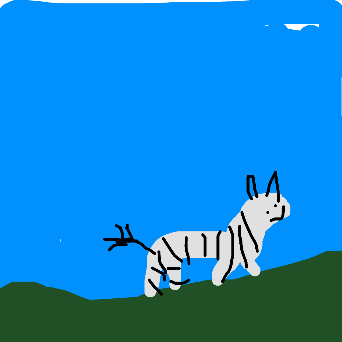 Zebra drawing by jimboni