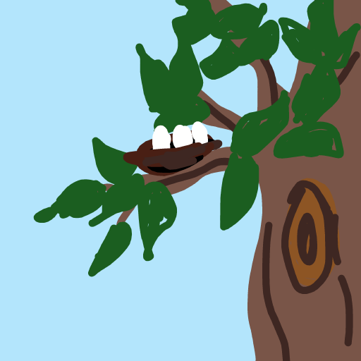 Nest drawing by SafiyyaJ