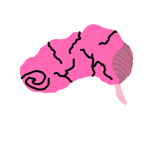 Brain drawing by Guardianoflives