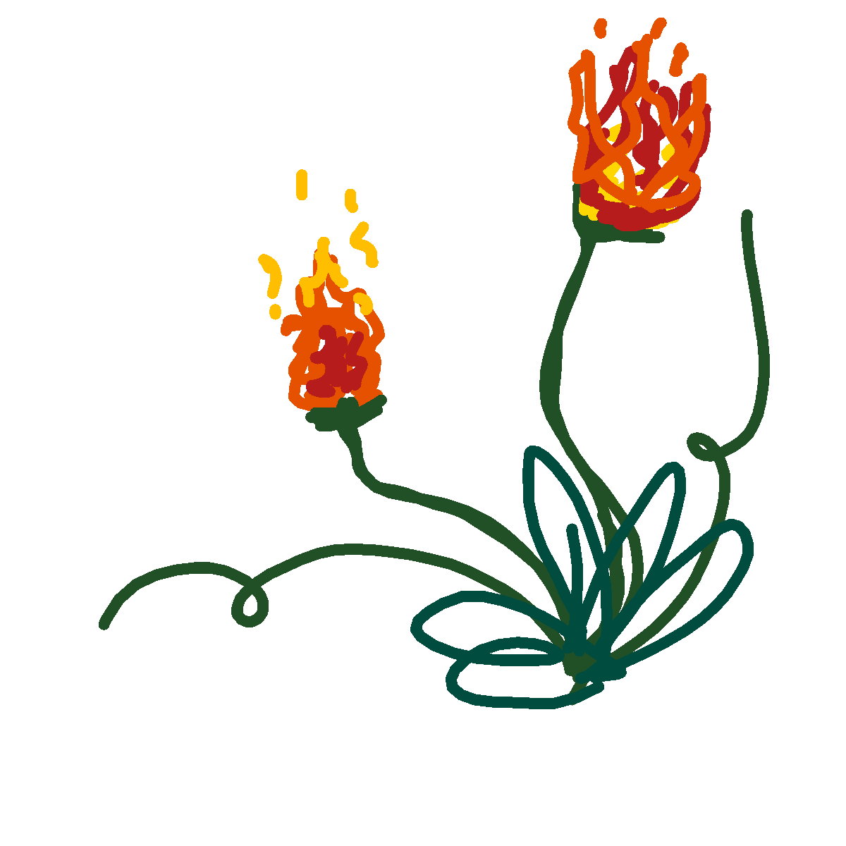 Fire Flower drawing by amber-graph-hammer