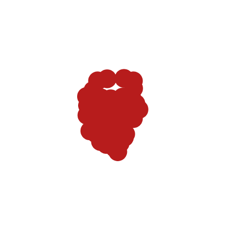Raspberry drawing by neesh