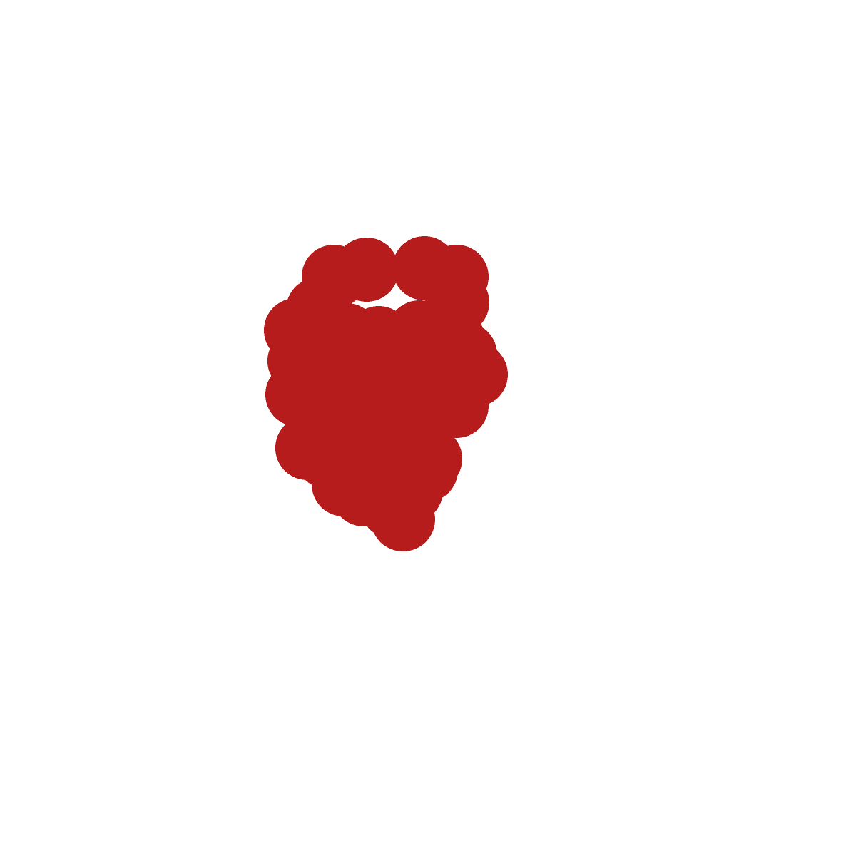 Raspberry drawing by neesh