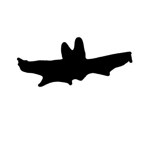 Bat drawing by Mrs O