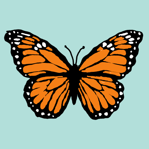 Butterfly drawing by Guardianoflives