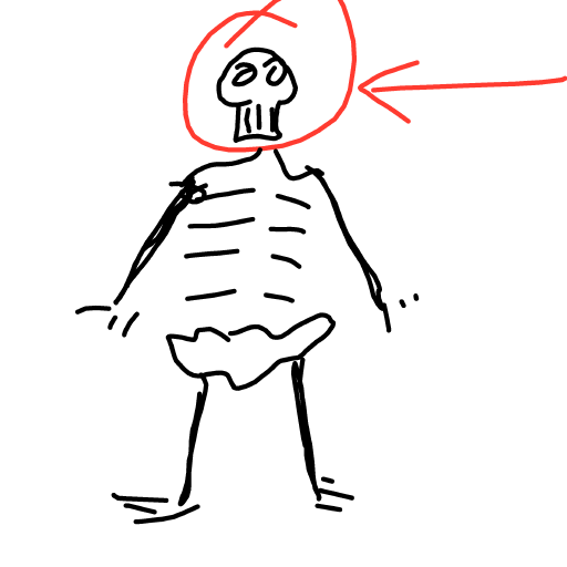 Skull drawing by Nuss