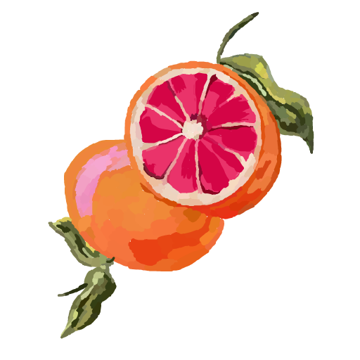 Grapefruit drawing by paigey-doodle