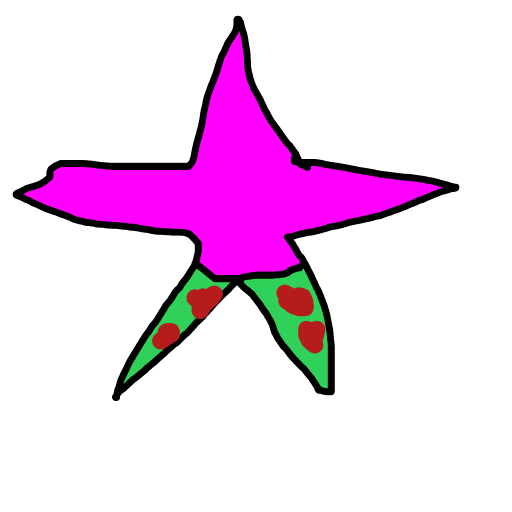 Starfish drawing by troy
