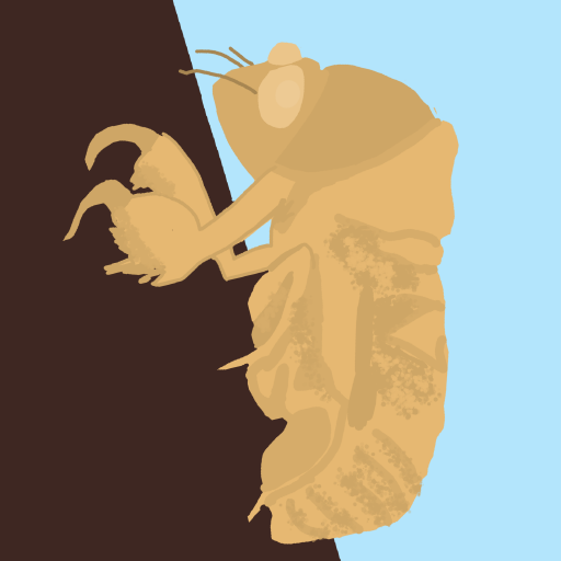 Cicada drawing by jashezilla