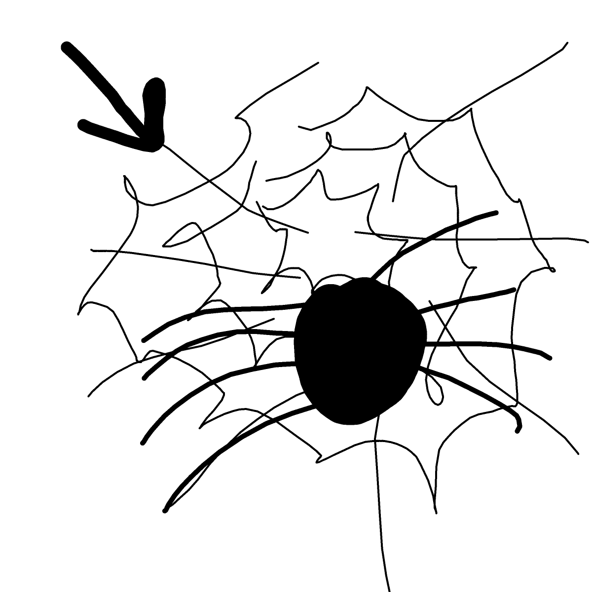 Spider Web drawing by mint-neat-eye