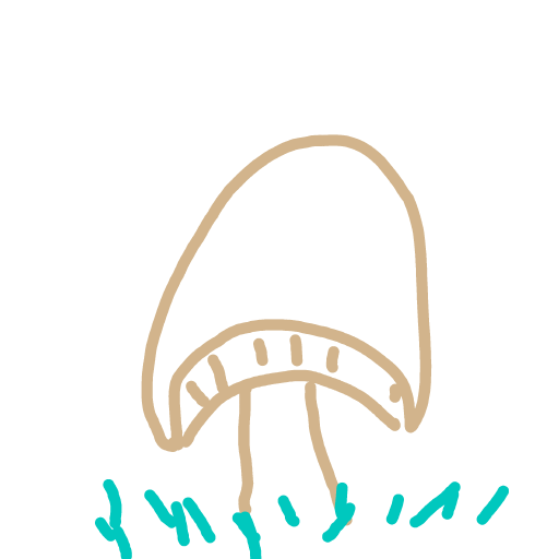Mushroom drawing by coal-mild-peace
