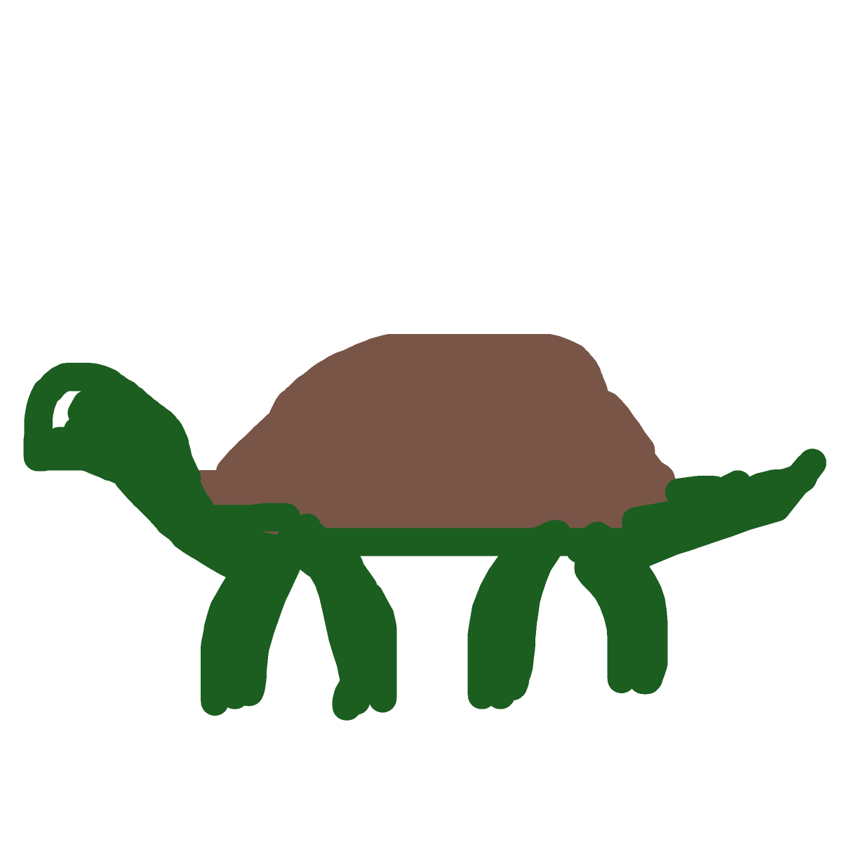 Turtle drawing by tandman
