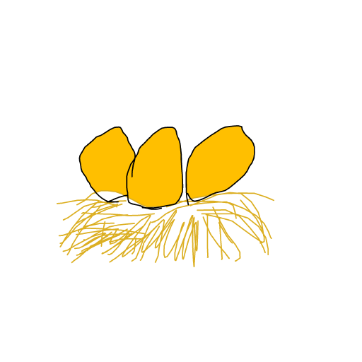 Egg drawing by jukgaa