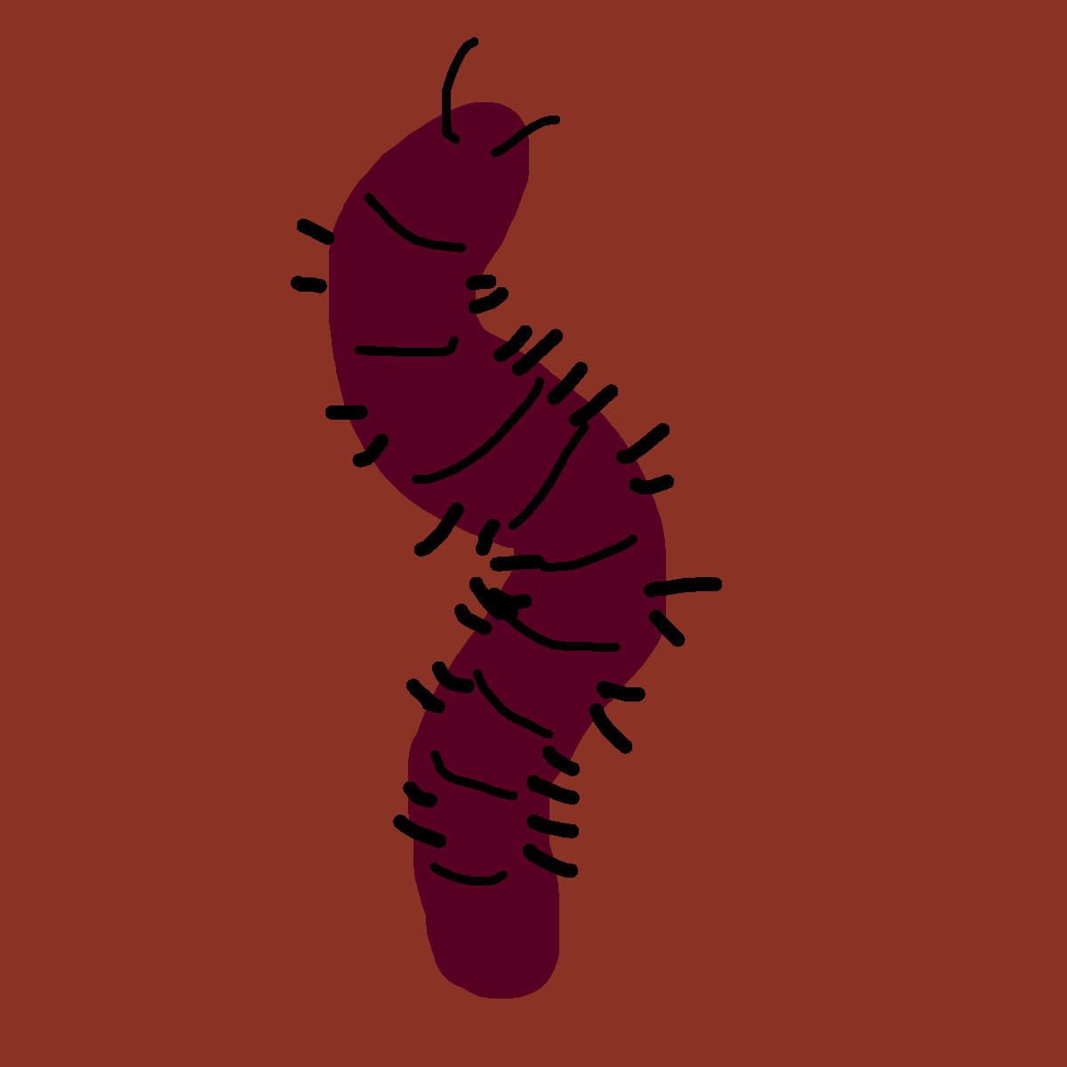 Centipede drawing by knoxy