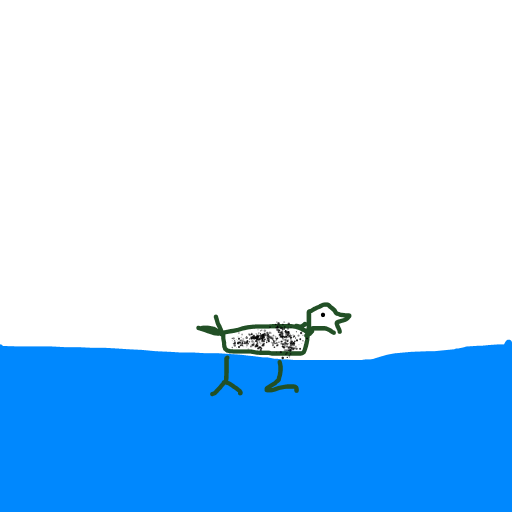 Duck drawing by rose