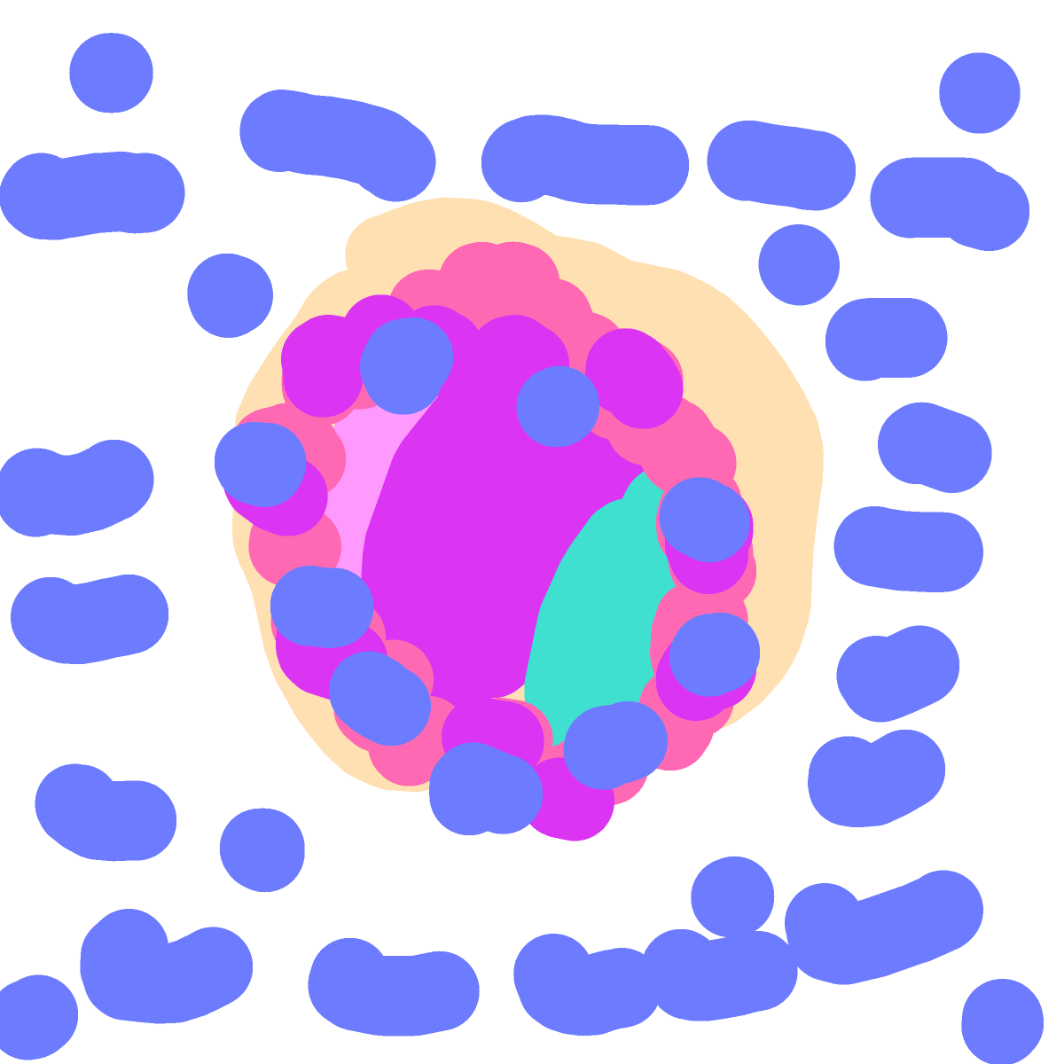 Donut drawing by zz the besty
