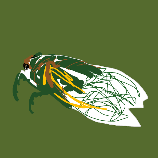 Cicada drawing by koko_b_where
