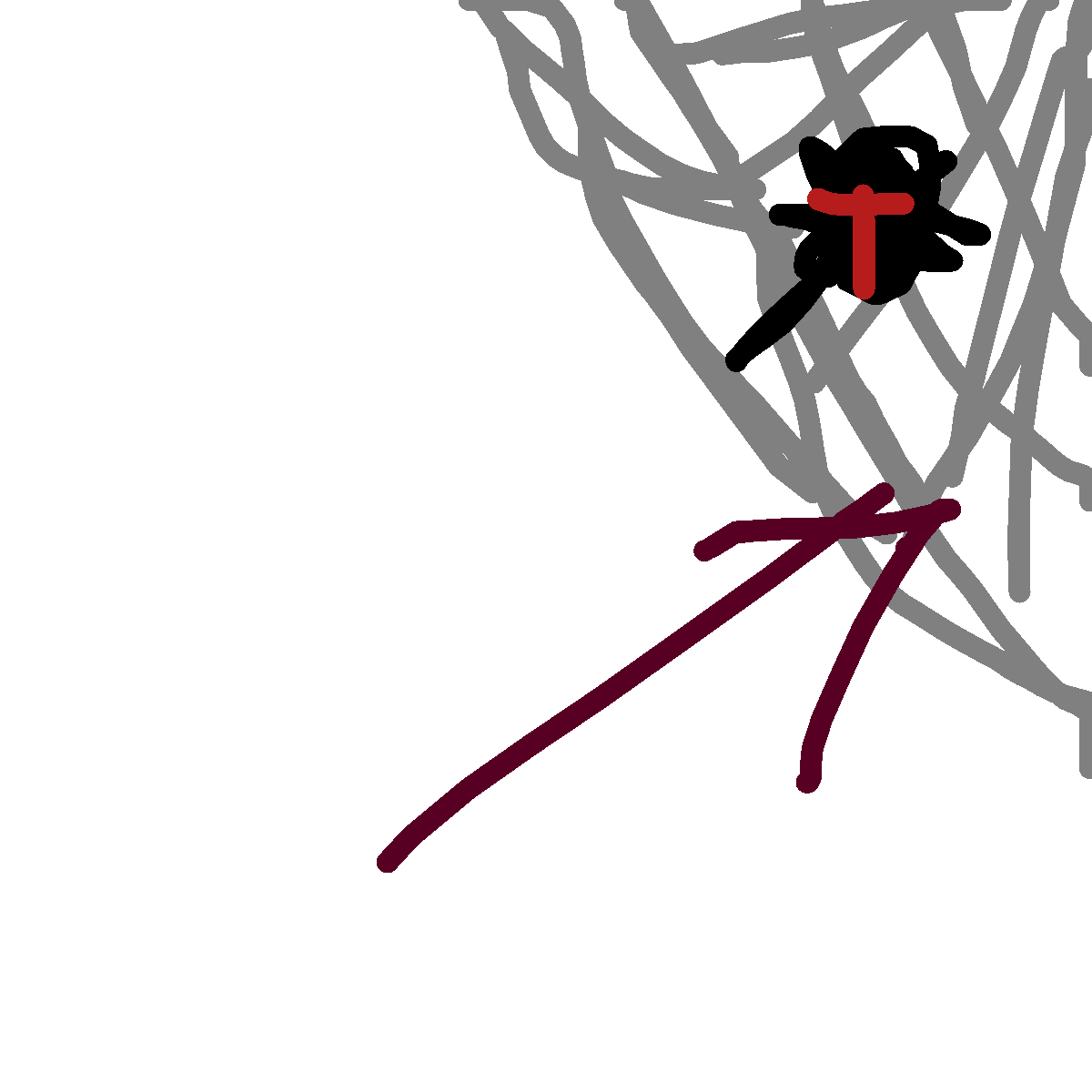 Spider Web drawing by cyan-beta-earth