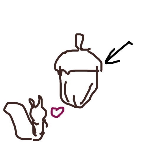 Acorn drawing by honey crisp