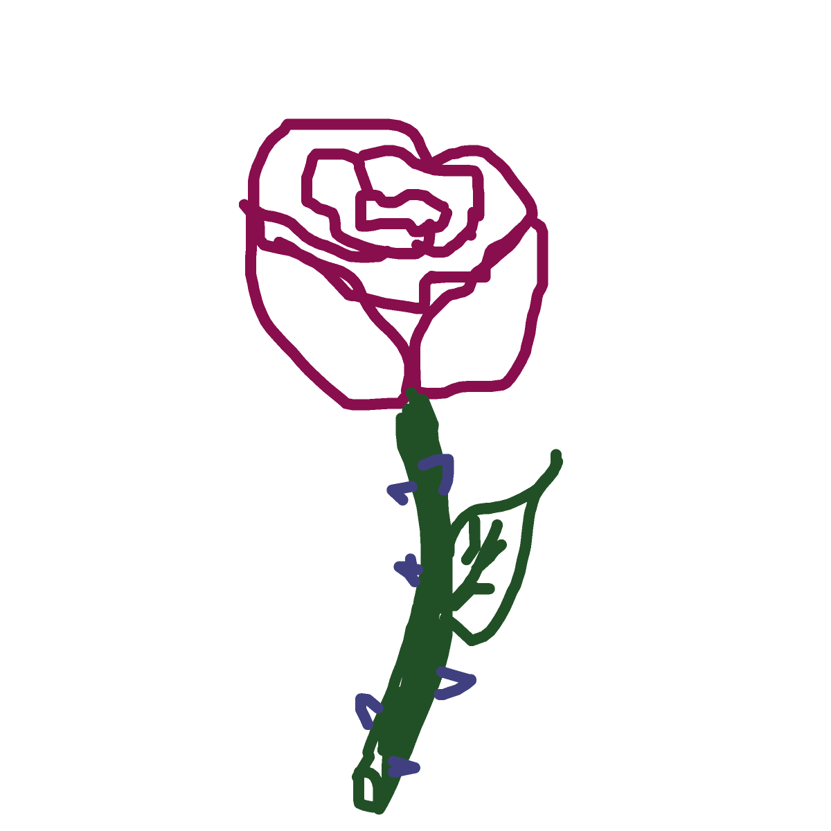 Rose drawing by oxox