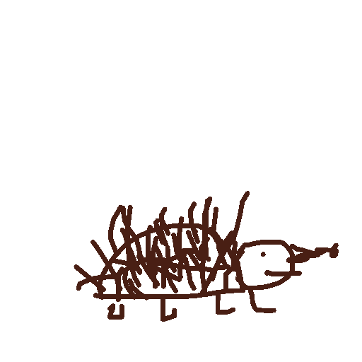 Hedgehog drawing by maite