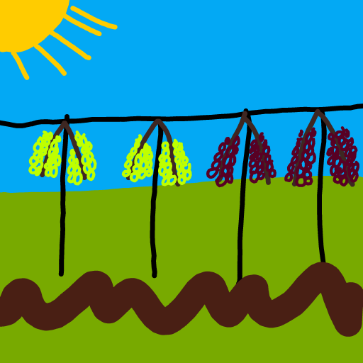 Grapes drawing by KevinFaber
