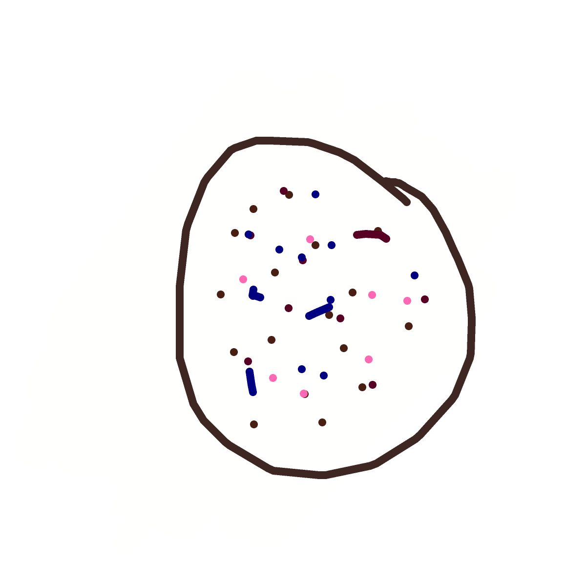 Cookie drawing by adreana
