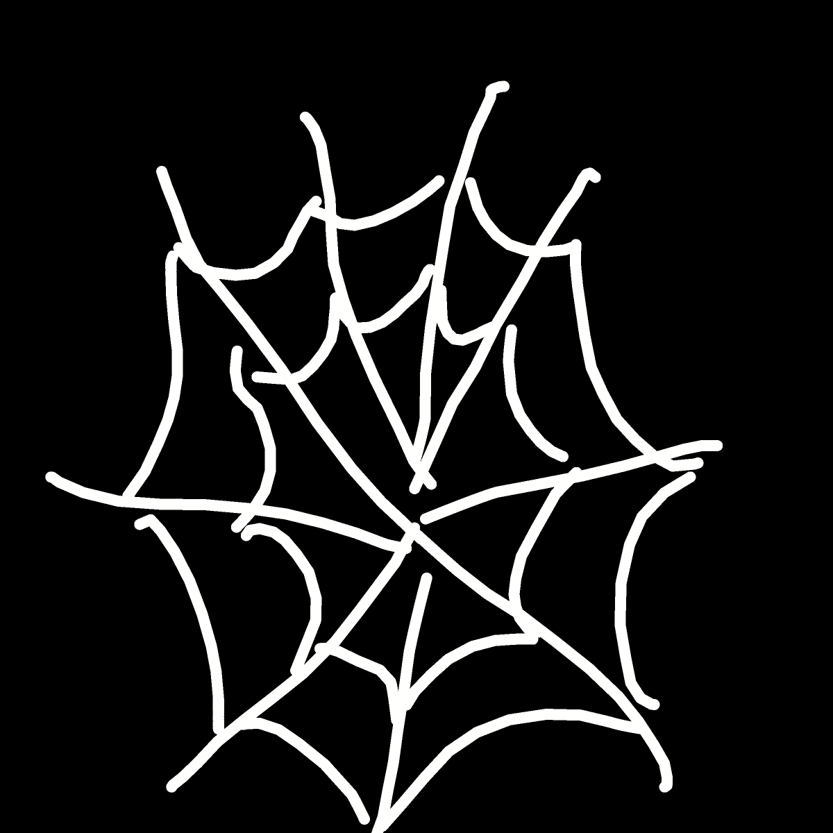 Spider Web drawing by Bri3