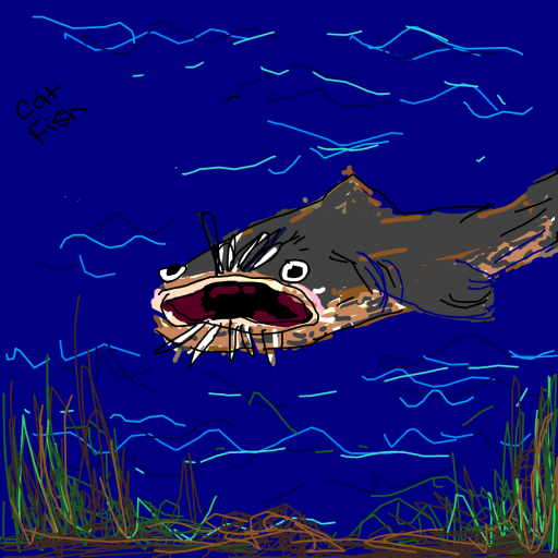 Catfish drawing by tris - art _ wow