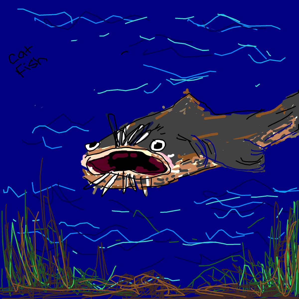 Catfish drawing by tris - art _ wow