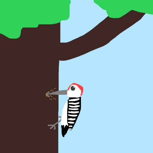 Woodpecker drawing by jashezilla