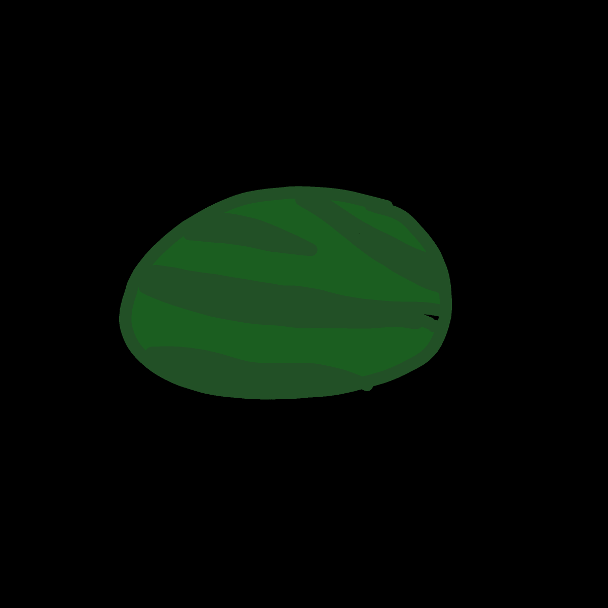 Watermelon drawing by Marcos