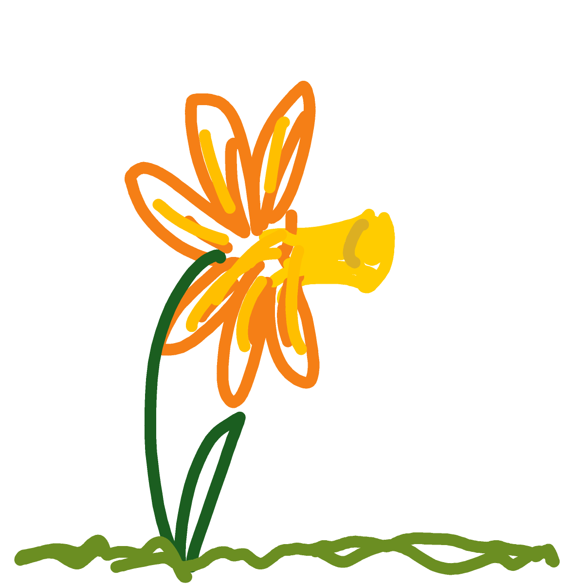 Daffodil drawing by blue-north